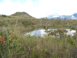 途中で池を発見。鉱山を掘りつくした後に穴が出来て水がたまり、こうした池になる。